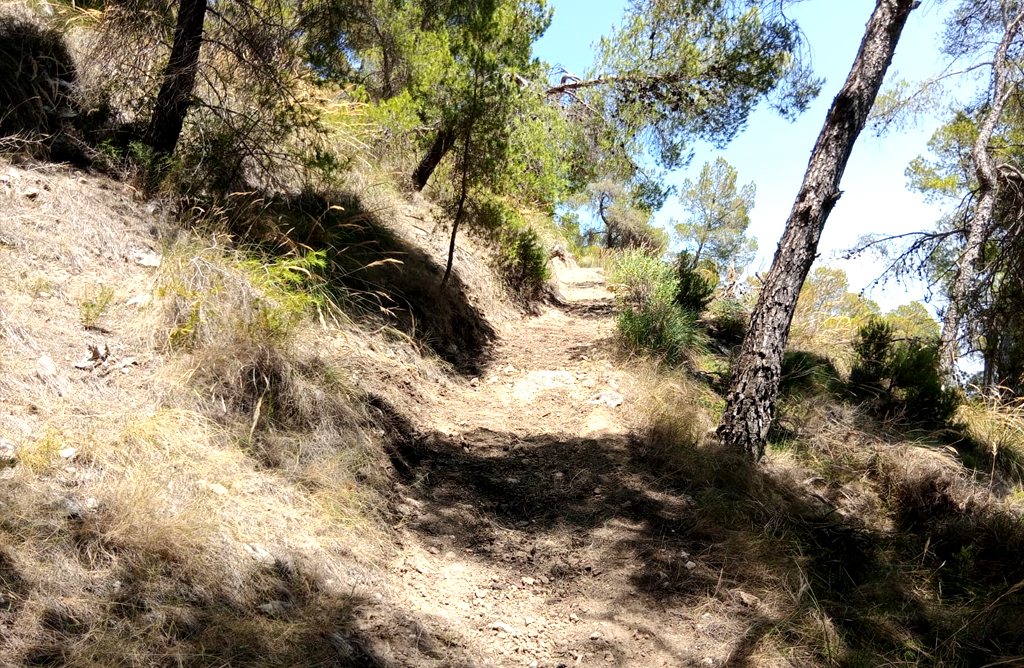 La restauracin del sendero del Estepar ayudar a preservar el Parque Regional de Sierra Espua 
